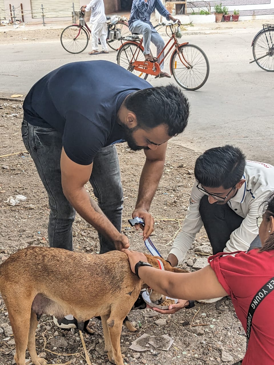 birthday celebration